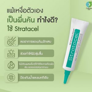 Stratacel1